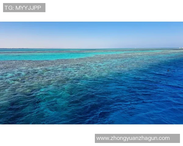 探索塔希提的神秘魅力与自然风光揭开南太平洋的浪漫篇章 探索塔希提的神秘魅力与自然风光揭开南太平洋的浪漫篇章