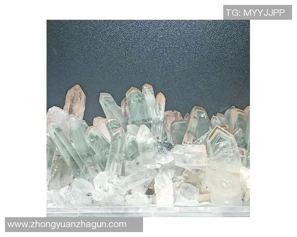 水晶体与奥林匹的对比分析揭示两者在性能与应用上的异同之处